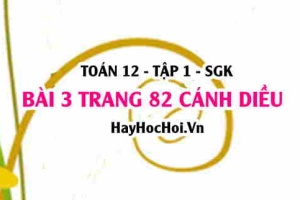 Bài 3 trang 82 Toán 12 tập 1 Cánh Diều